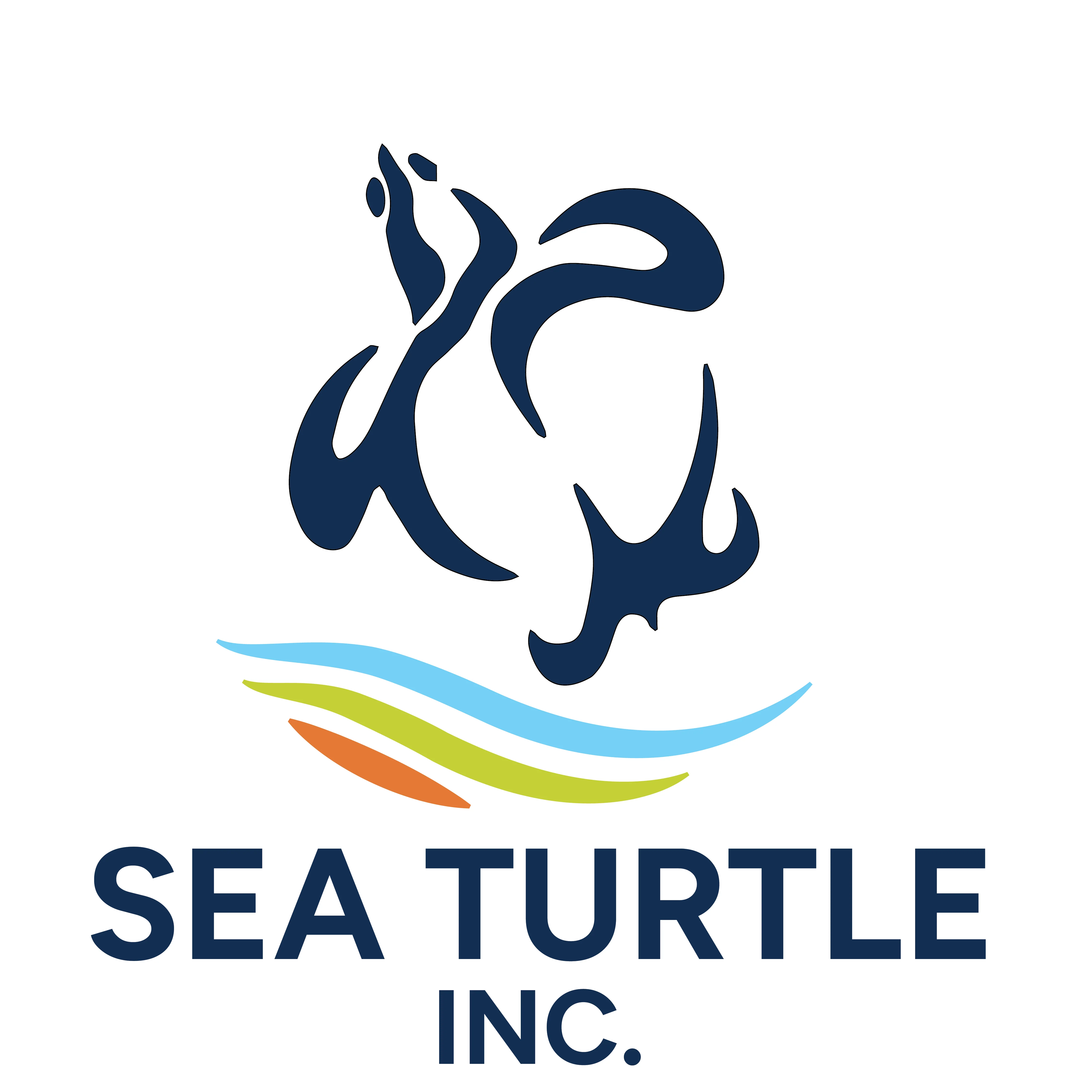 Sea Turtle
